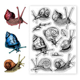 Halloween PVC Plastic Clear Stamps, for DIY Scrapbooking, Photo Album Decorative, Cards Making, Snail, 160x110mm