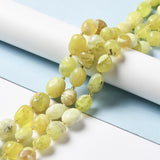 Natural Yellow Opal Beads Strands, Oval, 9.5~19.5x8~13.5x5.5~13mm, Hole: 0.9~1.2mm, about 24~27pcs/strand, 14.96~15.55''(38~39.5cm)