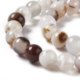 Natural Dendritic Agate Beads Strands, Grade AB, Round, 8mm, Hole: 1.2mm, about 49pcs/strand, 14.96 inch(38cm), 5Strand/Set