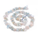 Natural Morganite Chip Beads Strands, 5~14x4~10mm, Hole: 1mm, about 15.5 inch~16.1 inch, 5Strand/Set