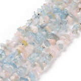 Natural Morganite Chip Beads Strands, 5~14x4~10mm, Hole: 1mm, about 15.5 inch~16.1 inch, 5Strand/Set