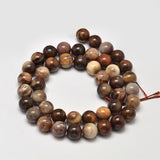 Natural Petrified Wood Round Bead Strands, 8mm, Hole: 1mm, about 47pcs/strand, 15 inch, 2Strand/Set