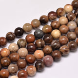 Natural Petrified Wood Round Bead Strands, 8mm, Hole: 1mm, about 47pcs/strand, 15 inch, 2Strand/Set