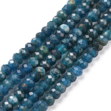 Faceted Rondelle Natural Apatite Bead Strands, 4x3mm, Hole: 0.8mm, about 156pcs/strand, 15.5 inch