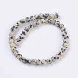 Natural Dalmation Jasper Beads Strands, Round, 4mm, Hole: 1mm, about 43pcs/strand, 7.6 inch, 10Strand/Set