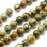 Natural Rhyolite Jasper Bead Strands, Round, 8mm, Hole: 1mm, about 46pcs/strand, 15.7 inch(40cm), 2Strand/Set