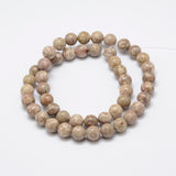 Natural Fossil Coral Beads Strands, Round, 8mm, Hole: 1mm, about 48pcs/strand, 15.3 inch(39cm)