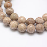 Natural Fossil Coral Beads Strands, Round, 8mm, Hole: 1mm, about 48pcs/strand, 15.3 inch(39cm)