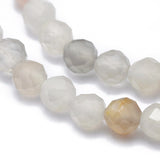 Natural Multi-Moonstone Beads Strands, Faceted, Round, 3mm, Hole: 0.5mm, about 142pcs/strand, 15.7 inch(40cm), 2Strand/Set