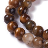 Natural Yellow Tiger Eye Beads Strands, Grade B, Round, 8mm, Hole: 1mm, about 45~47pcs/strand, 14.37 inch~14.76(36.5~37.5cm), 5Strand/Set