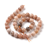 Round Natural Sunstone Beads Strands, 8mm, Hole: 1mm, about 47pcs/strand, 15.4 inch., 2Strand/Set