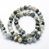 Natural Tree Agate Beads Strands, Round, 4mm, Hole: 1mm, about 95pcs/strand, 14.76 inch(37.5cm), 5Strand/Set