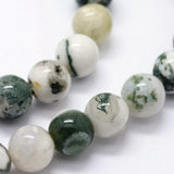 Natural Tree Agate Beads Strands, Round, 4mm, Hole: 1mm, about 95pcs/strand, 14.76 inch(37.5cm), 5Strand/Set