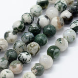 Natural Tree Agate Beads Strands, Round, 4mm, Hole: 1mm, about 95pcs/strand, 14.76 inch(37.5cm), 5Strand/Set