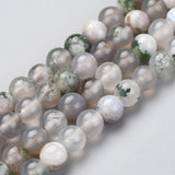 Natural Tree Agate Beads Strands, Round, 6mm, Hole: 1.2mm, about 63pcs/strand, 14.76 inch(37.5cm), 5Strand/Set