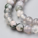 Natural Tree Agate Beads Strands, Round, 6mm, Hole: 1.2mm, about 63pcs/strand, 14.76 inch(37.5cm), 5Strand/Set