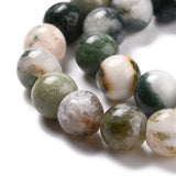 Natural Tree Agate Beads Strands, Round, 8mm, Hole: 1.2mm, about 45~48pcs/strand, 15 inch(39cm), 5Strand/Set