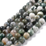 Natural Tree Agate Beads Strands, Round, 8mm, Hole: 1.2mm, about 45~48pcs/strand, 15 inch(39cm), 5Strand/Set