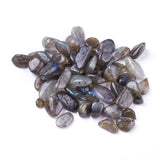 Natural Labradorite Beads, Undrilled/No Hole, Chips, 8~21x7~10x4~6mm 4~6mm, about 100g/bag, 2Bag/Set