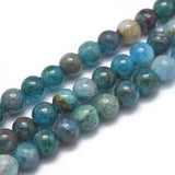 Natural Apatite Beads Strands, Grade AB, Round, 4mm, Hole: 0.8mm, about 98pcs/strand, 14.9 inch(38cm), 3Strand/Set