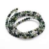 Natural Moss Agate Round Bead Strands, 4mm, Hole: 1mm, about 100pcs/strand, 16 inch, 5Strand/Set