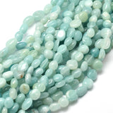 Natural Amazonite Nuggets Beads Strands, Tumbled Stone, 5~10x6~7x3~7mm, hole: 1mm, about 14.9 inch~15.7 inch, 5Strand/Set