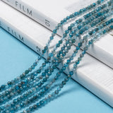 Natural Apatite Beads Strands, Faceted, Round, 2mm, Hole: 0.5mm, about 175pcs/strand, 14.9 inch(38cm), 3Strand/Set