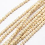 Natural Fossil Beads Strands, Faceted, Round, 4mm, Hole: 1mm, about 85~90pcs/strand, 14.5 inch, 5Strand/Set