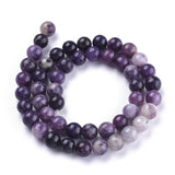 Natural Lepidolite/Purple Mica Stone Beads Strands, Round, 8~8.5mm, Hole: 1mm, about 48pcs/Strand, 15.47 inch(39.3cm), 5Strand/Set