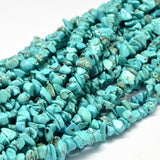 Dyed Natural Magnesite Chips Beads Strands, Dark Turquoise, 5~14x5~10mm, Hole: 1mm, about 33.85 inch, 10Strand/Set