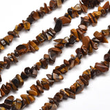 Natural Tiger Eye Chip Bead Strands, 5~8x5~8mm, Hole: 1mm, about 31.5 inch, 10Strand/Set