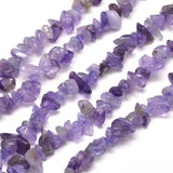 Natural Amethyst Chip Bead Strands, Dyed, 5~8x5~8mm, Hole: 1mm, about 31.5 inch, 10Strand/Set