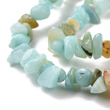 Natural Flower Amazonite Chips Beads Strands, 5~8x5~8mm, Hole: 1mm, about 31.5 inch, 10Strand/Set