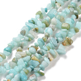 Natural Flower Amazonite Chips Beads Strands, 5~8x5~8mm, Hole: 1mm, about 31.5 inch, 10Strand/Set