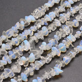 Opalite Chip Bead Strands, 5~8x5~8mm, Hole: 1mm, about 31.5 inch, 10Strand/Set