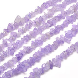 Natural Amethyst Chip Bead Strands, 5~8x5~8mm, Hole: 1mm, about 31.5 inch, 10Strand/Set