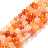 Natural Carnelian Beads Strands, Round, 8mm, Hole: 1mm, about 45pcs/strand, 15 inch, 5Strand/Set