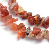 Natural Carnelian Beads Strands, Dyed & Heated, Chip, 5~8mm, Hole: 1mm, about 33 inch(84cm), 5Strand/Set