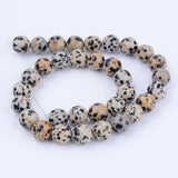 Natural Dalmatian Jasper Beads Strands, Round, 6~6.5mm, Hole: 1mm, about 58~61pcs/strand, 15.5 inch, 5Strand/Set