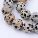 Natural Dalmatian Jasper Beads Strands, Round, 6~6.5mm, Hole: 1mm, about 58~61pcs/strand, 15.5 inch, 5Strand/Set