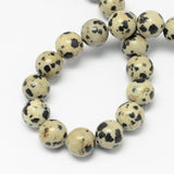 Natural Dalmatian Jasper Stone Bead Strands, Round, 4mm, Hole: 0.5mm, about 95pcs/strand, 14.9 inch, 5Strand/Set