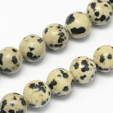 Natural Dalmatian Jasper Stone Bead Strands, Round, 4mm, Hole: 0.5mm, about 95pcs/strand, 14.9 inch, 5Strand/Set