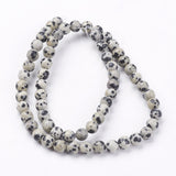 Natural Dalmatian Jasper Stone Bead Strands, Round, 6mm, Hole: 1mm, about 63pcs/strand, 14.9 inch, 5Strand/Set