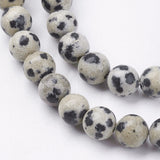 Natural Dalmatian Jasper Stone Bead Strands, Round, 6mm, Hole: 1mm, about 63pcs/strand, 14.9 inch, 5Strand/Set