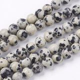 Natural Dalmatian Jasper Stone Bead Strands, Round, 6mm, Hole: 1mm, about 63pcs/strand, 14.9 inch, 5Strand/Set