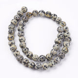 Natural Dalmatian Jasper Stone Bead Strands, Round, 8mm, Hole: 1mm, about 45~48pcs/strand, 14.9 inch, 5Strand/Set