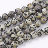 Natural Dalmatian Jasper Stone Bead Strands, Round, 8mm, Hole: 1mm, about 45~48pcs/strand, 14.9 inch, 5Strand/Set