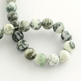 Natural Tree Agate Round Gemstone Beads Strands, 8.5mm, Hole: 1.2mm, about 45~48pcs/strand, 15 inch, 5Strand/Set