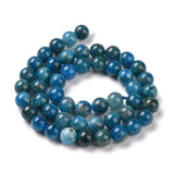 Natural Apatite Beads Strands, Round, 8~9mm, Hole: 1mm, about 45~48pcs/strand, 15.7 inch, 2Strand/Set