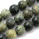 Natural Serpentine/Green Lace Stone Beads Strands, Round, 8mm, Hole: 1mm, about 46~49pcs/strand, 14.5~15.3 inch, 5Strand/Set